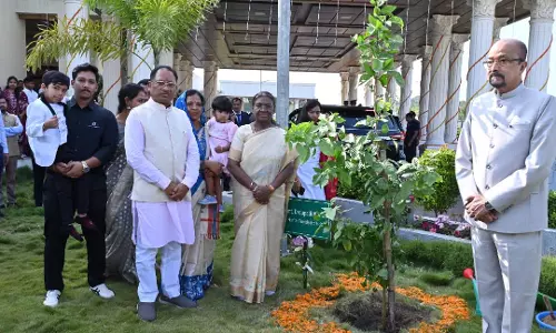 राष्ट्रपति द्रौपदी मुर्मु ने मुख्यमंत्री निवास में रोपा बेल का पौधा राष्ट्रपति द्रौपदी मुर्मु ने मुख्यमंत्री निवास में रोपा बेल का पौधा