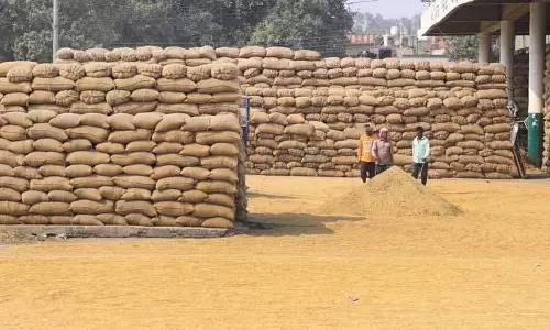 Jalandhar: किसानों ने धान की धीमी खरीद और उठान पर अफसोस जताया