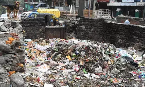 कूड़े के ढेर और बागवानी अपशिष्ट से Mohali के निवासी परेशान
