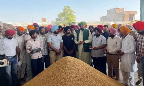 Ajnala में मंडियों का निरीक्षण करते कुलदीप सिंह धालीवाल Ajnala में मंडियों का निरीक्षण करते कुलदीप सिंह धालीवाल