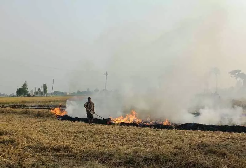 Jalandhar: 3 खेतों में आग लगने की घटनाएं, फिर भी वायु गुणवत्ता ‘बहुत खराब’ श्रेणी में