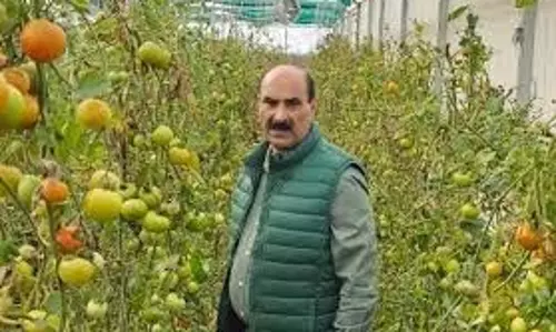 Dir Agri ने नरकारा बडगाम में हाई-टेक पॉली-हाउस का दौरा किया