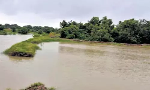 Odisha: तटबंध टूटने से किसानों में चिंता