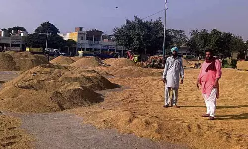 Punjab: धान उठाने में देरी से धूरी के किसान Punjab: धान उठाने में देरी से धूरी के किसान