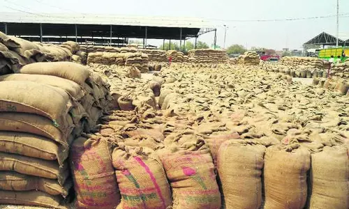 Haryana में विशेष अभियान चलाकर 50 लाख नए सदस्य बनाने का भाजपा का लक्ष्य
