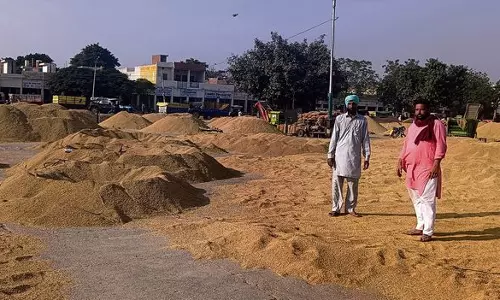 Haryana :  अंबाला जिले में सात दुर्घटना संभावित स्थलों की पहचान की गई