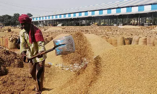 Rupnagar DC ने धान खरीद का लिया जायजा