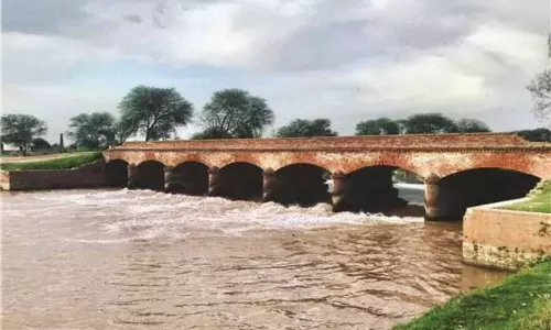 तकनीकी टीम ने Jawali में सिंचाई परियोजनाओं का निरीक्षण किया तकनीकी टीम ने Jawali में सिंचाई परियोजनाओं का निरीक्षण किया