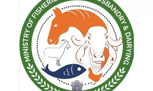 केंद्र ने Kerala के मुथलापोझी मछली पकड़ने के बंदरगाह के लिए विकास योजना को दी मंजूरी