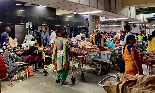 Chandigarh: ट्राइसिटी डेंगू बुखार की चपेट में