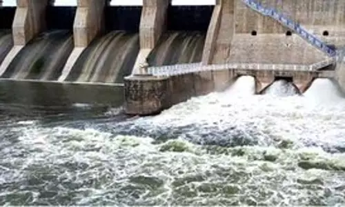 थेनपेनई नदी के किनारे स्थित 15 TN गांवों में बाढ़ की चेतावनी जारी