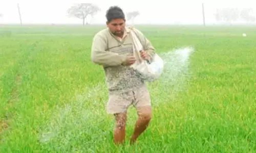 किसानों ने कहा कि कमी के बावजूद DAP को कालेधन में बेचा जा रहा