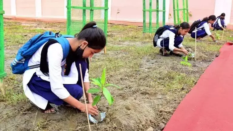 Assam: शिक्षक संघ ने गैर-शैक्षणिक गतिविधियों में भाग नहीं लेने का निर्णय