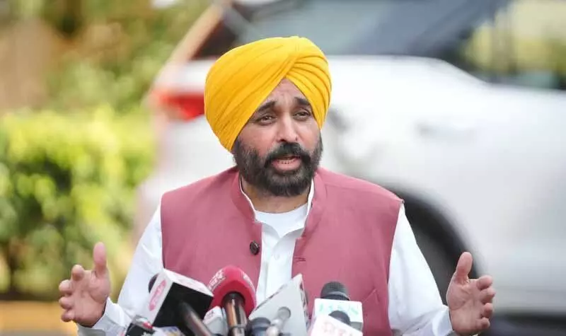 पंजाब आप प्रमुख का पद छोड़ना चाहते: CM Bhagwant Mann