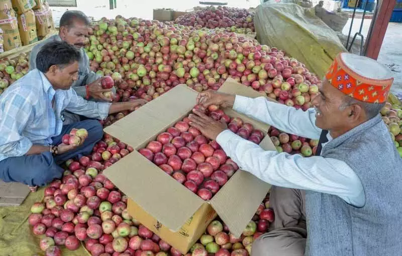 Market में उतार-चढ़ाव, पैकेजिंग में बदलाव से उत्पादकों को सतर्क रहना पड़ता