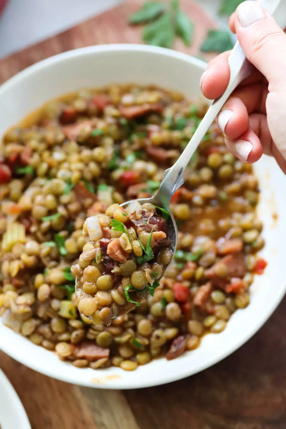 Green Lentil और हैम सूप रेसिपी