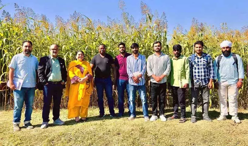 ICRISAT और SKUAST ने J&K में पहली शीत-सहिष्णु ज्वार विकसित की