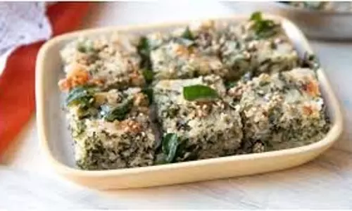 ओट्स ढोकला: नाश्ते के लिए एकदम सही व्यंजन