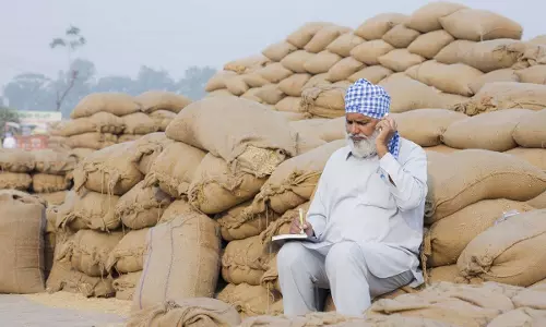 केंद्र पंजाब में धान, कस्टम मिल्ड चावल की निर्बाध खरीद सुनिश्चित कर रहा केंद्र पंजाब में धान, कस्टम मिल्ड चावल की निर्बाध खरीद सुनिश्चित कर रहा