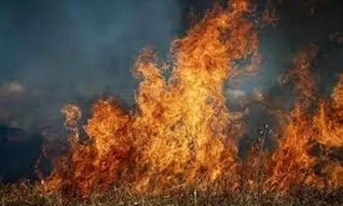 Kanpur: कृष्णा इंस्टीट्यूट में लगी भीषण आग Kanpur: कृष्णा इंस्टीट्यूट में लगी भीषण आग