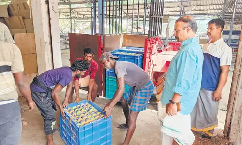 Kerala: सबरीमाला में बासी अरावण का निपटान जारी