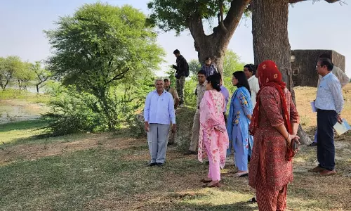 Jaipur: सांभर झील में पक्षियों के संरक्षण के लिए जिला कलेक्टर ने अधिकारियों को सौंपी जिम्मेदारियां