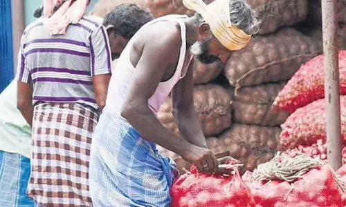 Andhra: अस्थिर कीमतों से कडप्पा के किसान निराश Andhra: अस्थिर कीमतों से कडप्पा के किसान निराश