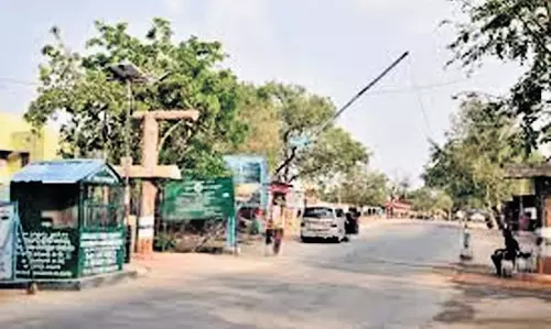 Telangana में अमराबाद टाइगर रिजर्व मानव-मुक्त क्षेत्र होगा