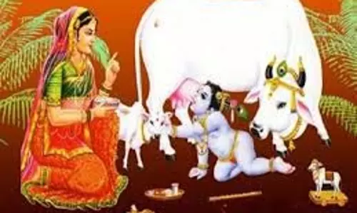 धर्म:  आज एकादशी और गोवत्स द्वादशी के पावन अवसर पर करें ये उपाय
