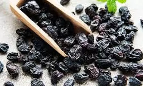 Health: किशमिश जैसा दिखने वाला ये ताकतवर ड्राई फ्रूट सेहत के लिए है बेहद फायदेमंद