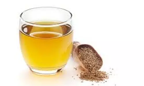 Health: बहती नाक, गले में खराश और बार-बार छींक से हैं परेशान तो पिएं अजवाइन का काढ़ा Health: बहती नाक, गले में खराश और बार-बार छींक से हैं परेशान तो पिएं अजवाइन का काढ़ा