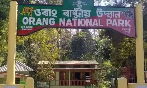 Assam : ओरंग नेशनल पार्क और टाइगर रिजर्व में राइफल के साथ चार शिकारी गिरफ्तार Assam : ओरंग नेशनल पार्क और टाइगर रिजर्व में राइफल के साथ चार शिकारी गिरफ्तार
