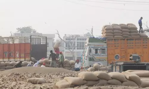Haryana : खरीदे गए धान के उठाव में तेजी लाने के लिए एक दिन के लिए खरीद रोकी गई Haryana : खरीदे गए धान के उठाव में तेजी लाने के लिए एक दिन के लिए खरीद रोकी गई
