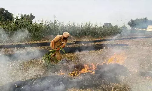 Punjab: पराली जलाने पर पुलिस सतर्क