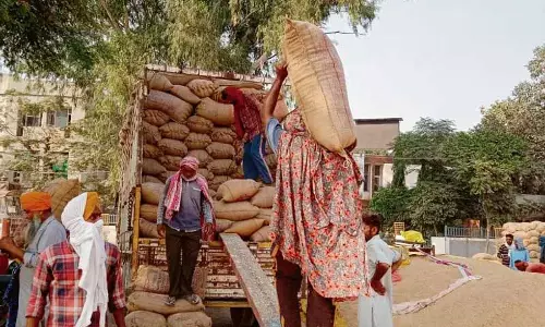 किसानों और Agents ने अधिकारियों के कुशल उठान के दावों को खारिज किया किसानों और Agents ने अधिकारियों के कुशल उठान के दावों को खारिज किया