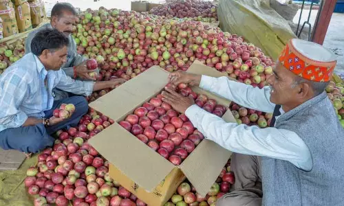 Market में उतार-चढ़ाव, पैकेजिंग में बदलाव से उत्पादकों को सतर्क रहना पड़ता
