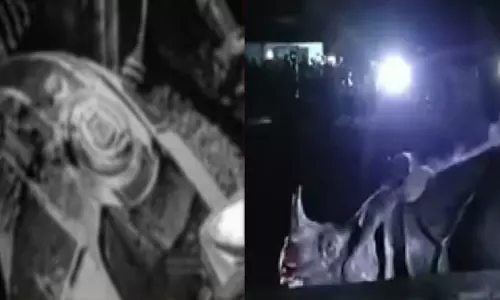 Assam : बिश्वनाथ में मदरसा परिसर में आवारा गैंडा घुसा, निवासियों में दहशत