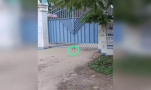 राजभवन के पास कॉलेज के सामने मिला हथगोला, लोगों में फैल गई दहशत राजभवन के पास कॉलेज के सामने मिला हथगोला, लोगों में फैल गई दहशत