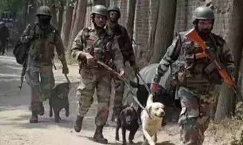 J&K:आतंकवादियों का पता लगाते समय भारतीय सेना का बहादुर कुत्ता शहीद हो गया J&K:आतंकवादियों का पता लगाते समय भारतीय सेना का बहादुर कुत्ता शहीद हो गया