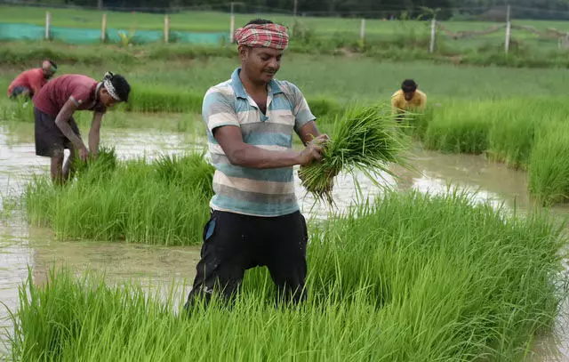 Odisha: टास्क फोर्स ने प्रवासी श्रमिकों के पंजीकरण के लिए मोबाइल ऐप पर विचार किया