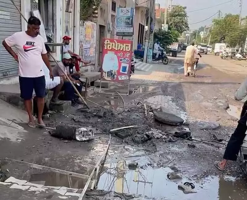 दिवाली तक Malerkotla जिले को साफ करना नगर निकायों के लिए आसान नहीं होगा