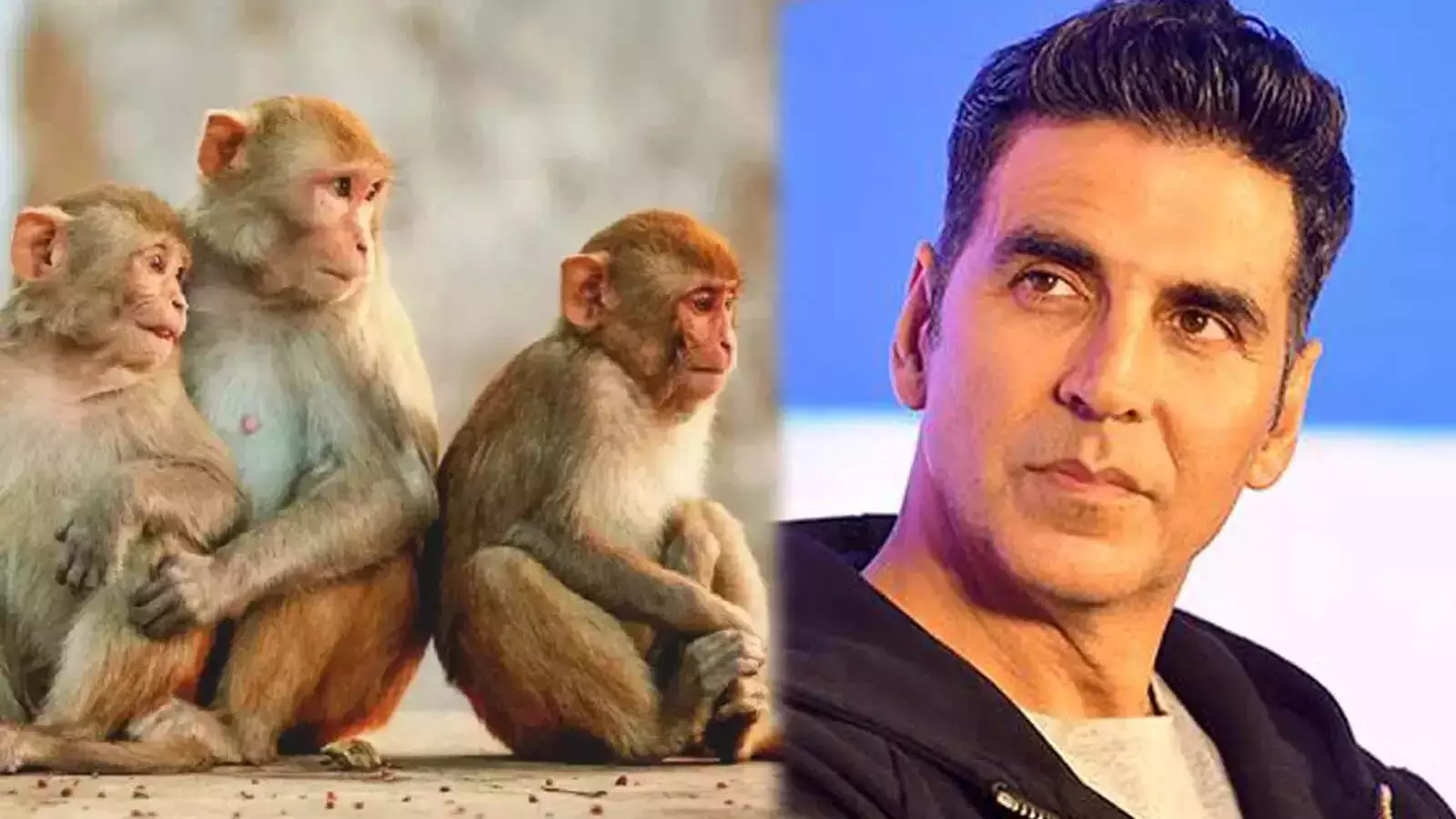 Akshay Kumar ने अयोध्या में बंदरों को खाना खिलाने के लिए 1 करोड़ रुपये का दान दिया