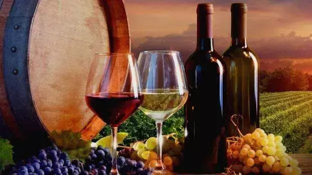 सस्ती शराब बिल्कुल भी सस्ती नहीं; सरकार द्वारा घोषित Winery योजना अमल में नहीं आ रही