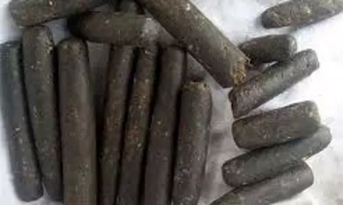 Himachal Pradesh:  बस में लावारिस बैग से चरस बरामद