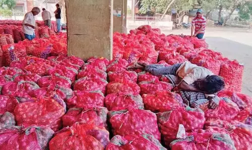 ई-नाम में गड़बड़ी के बाद कृषि व्यापार बहाल