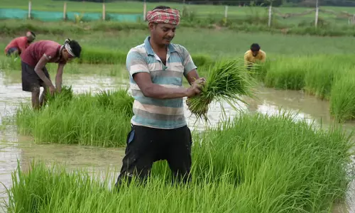 Odisha: टास्क फोर्स ने प्रवासी श्रमिकों के पंजीकरण के लिए मोबाइल ऐप पर विचार किया