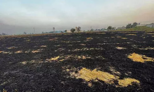 Amritsar जिले में मामलों में कमी