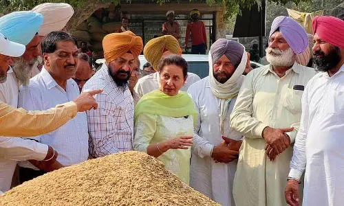 Punjab: परनीत ने धीमी खरीद के लिए मान की आलोचना की
