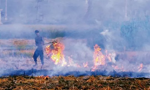 Haryana : दिवाली से पहले कृषि विभाग और पुलिस हाई अलर्ट पर
