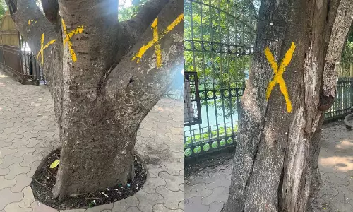 Assam : गुवाहाटी के नागरिकों ने फ्लाईओवर के लिए पेड़ों की कटाई के खिलाफ प्रदर्शन Assam : गुवाहाटी के नागरिकों ने फ्लाईओवर के लिए पेड़ों की कटाई के खिलाफ प्रदर्शन